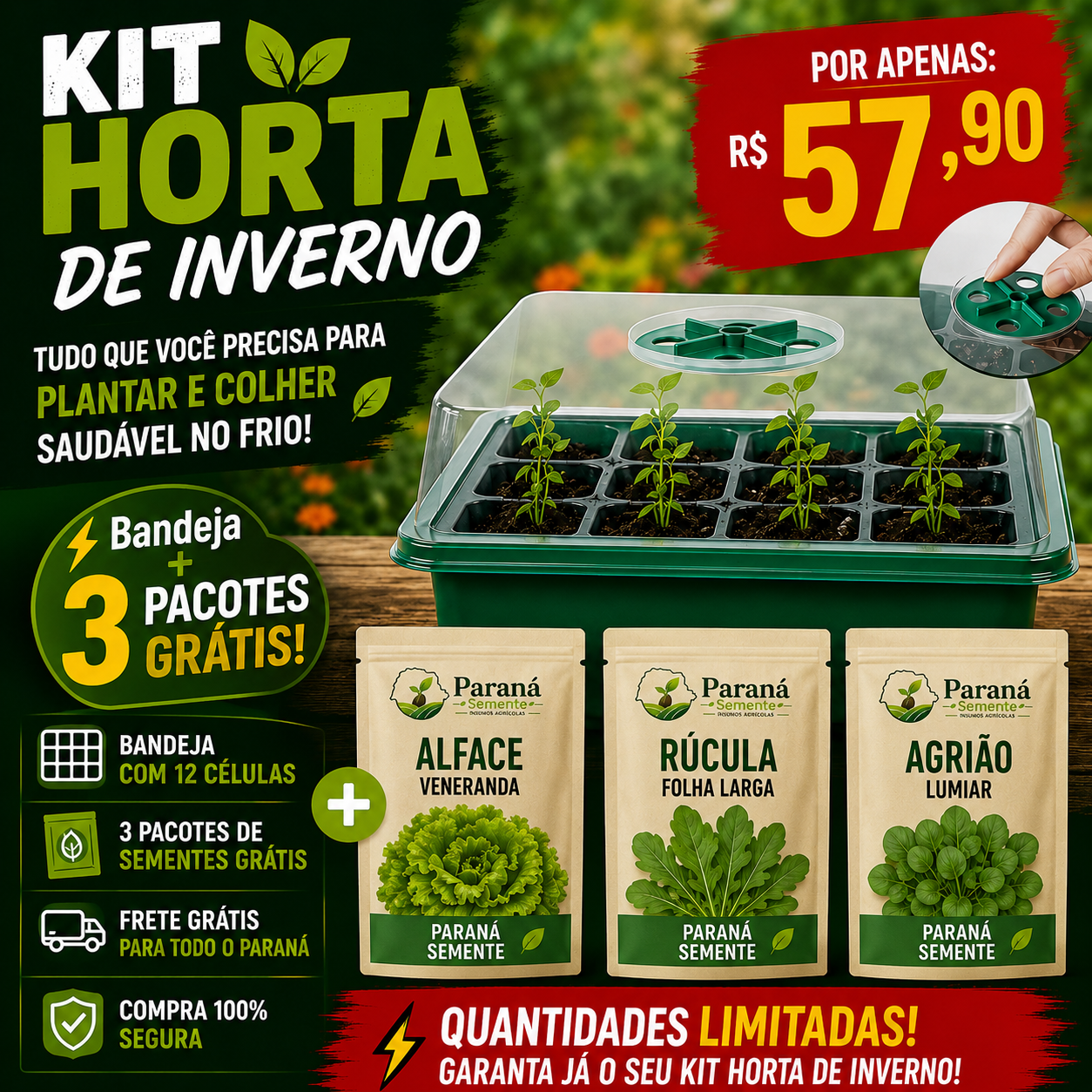 Kit Promocional: Bandeja de 12 Células + Brinde 3 Pacotes de Sementes