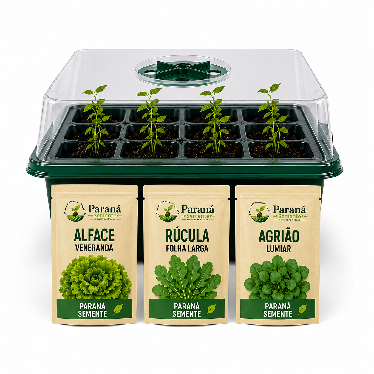 Kit Promocional: Bandeja de 12 Células + Brinde 3 Pacotes de Sementes