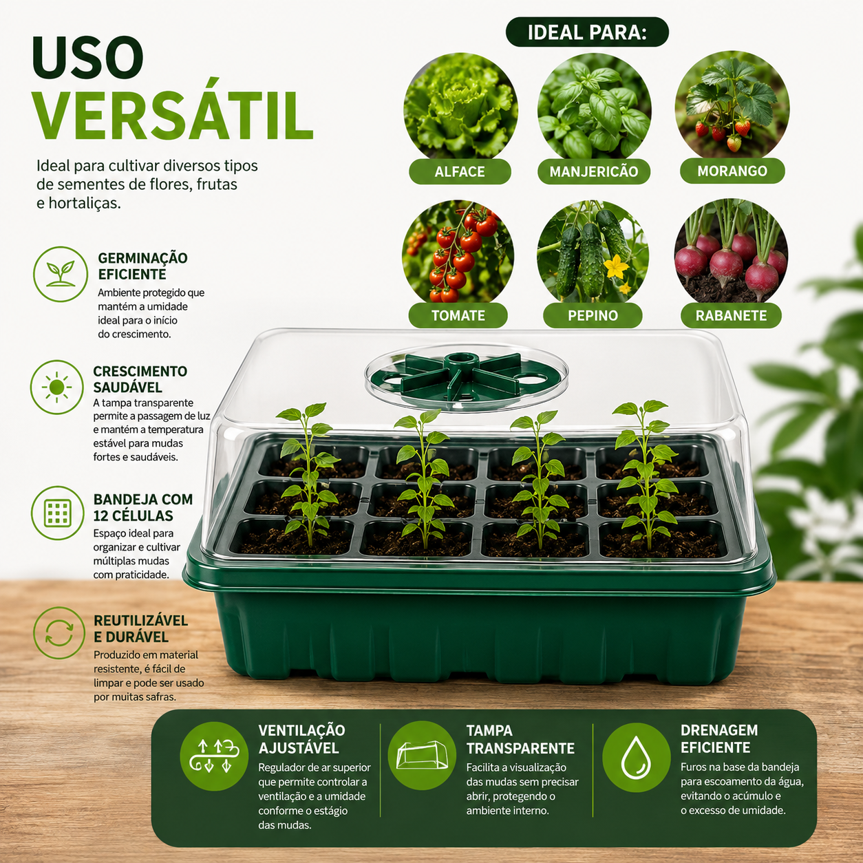 Promotion Kit: 12-Cell Tray + 12 Seed Packs
