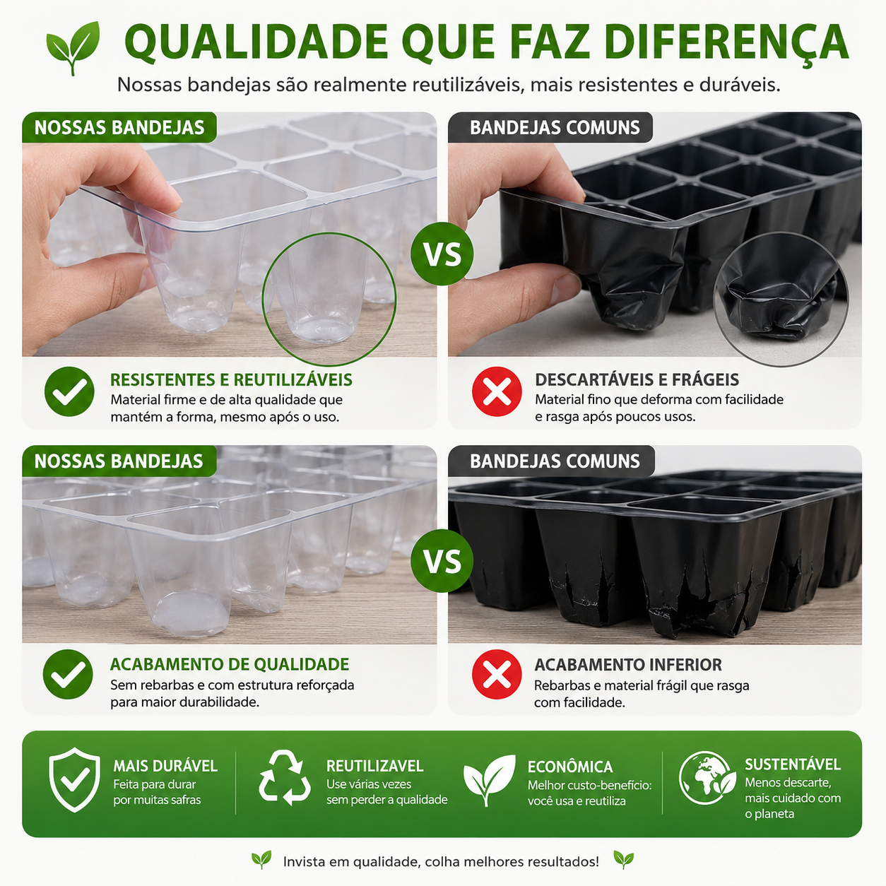 Promotion Kit: 12-Cell Tray + 12 Seed Packs
