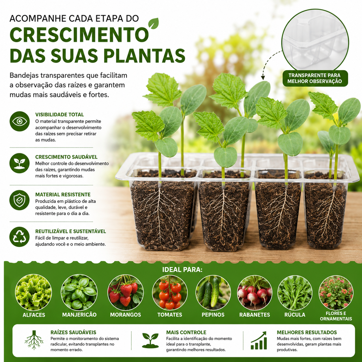 Promotion Kit: 12-Cell Tray + 12 Seed Packs