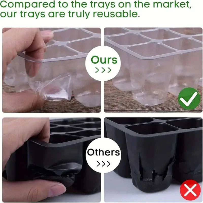 12-Cell Seedling Tray