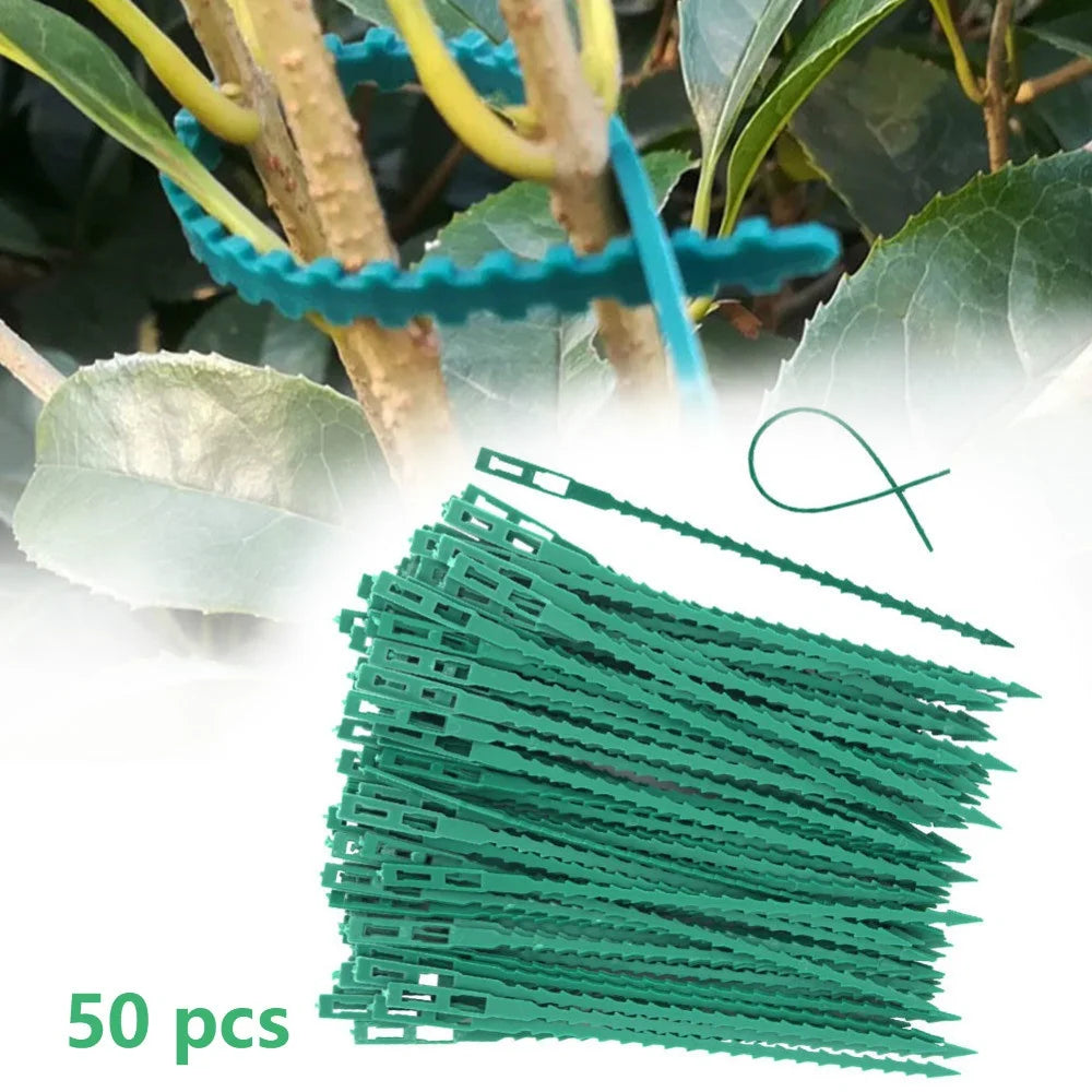 Kit 50 Amarras Ajustáveis para Plantas