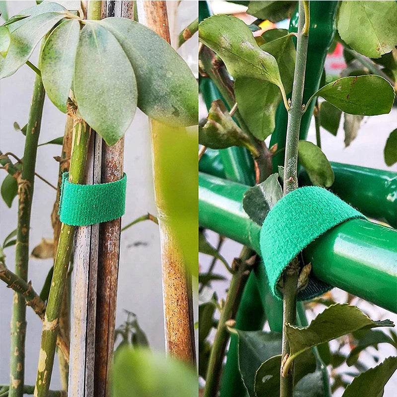 Kit Fita Amarrilho para Plantas com 3 Rolos