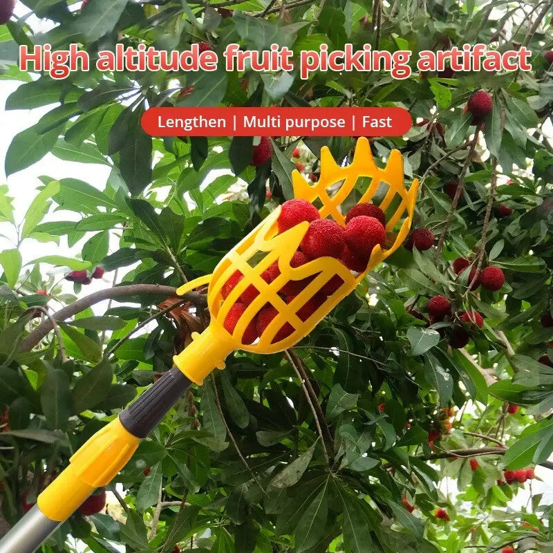 Coletor de Frutas com Cesto Profundo para Colheita Segura em Pomares e Jardins