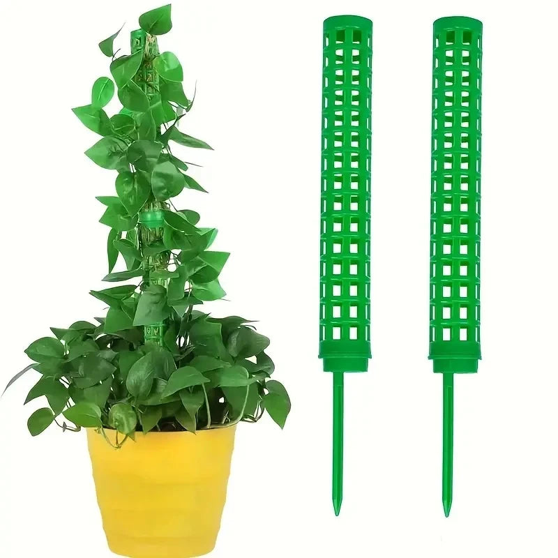 Kit 2 Tutores de Musgo para Plantas