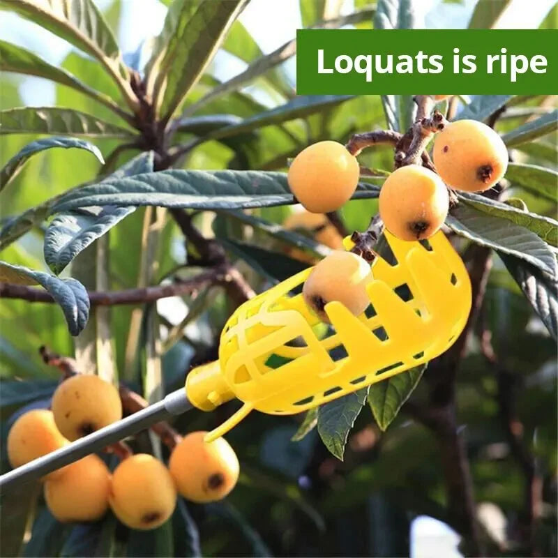 Coletor de Frutas com Cesto Profundo para Colheita Segura em Pomares e Jardins