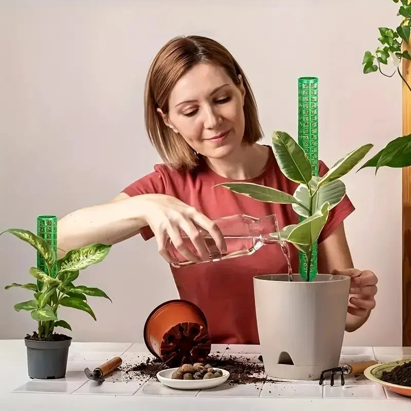 Kit 2 Tutores de Musgo para Plantas