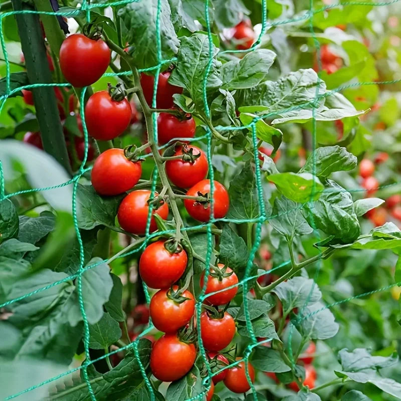 Tela Treliça para Plantas e Hortaliças – Reforçada em Nylon para Cultivo Vertical