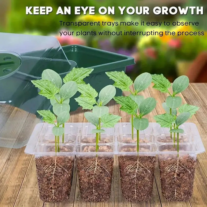 12-Cell Seedling Tray