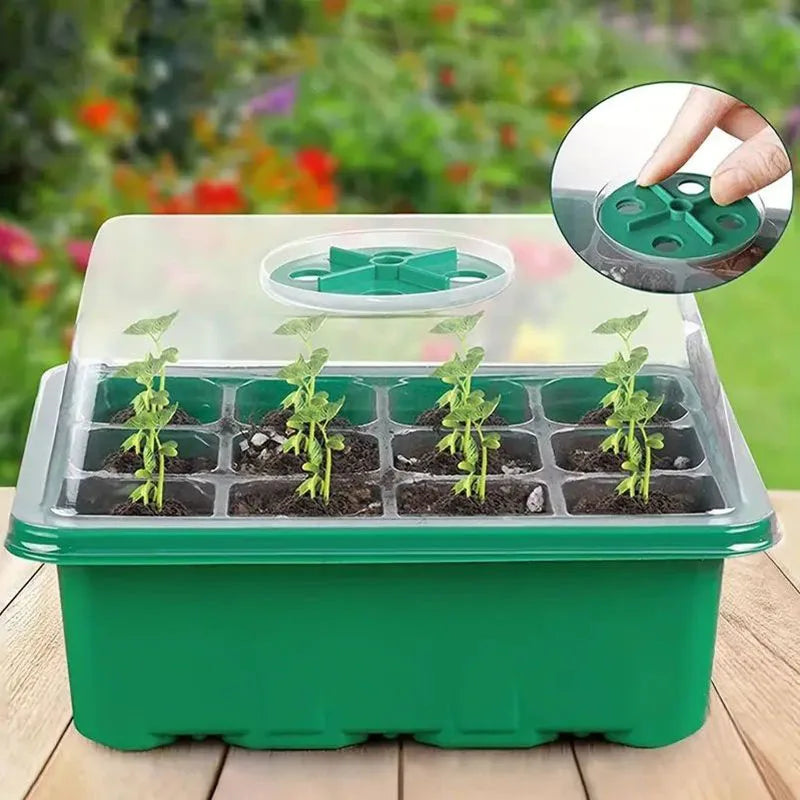 12-Cell Seedling Tray