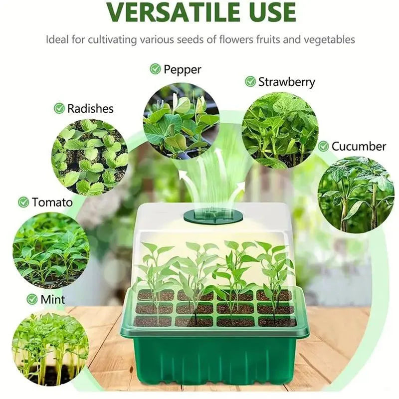 12-Cell Seedling Tray