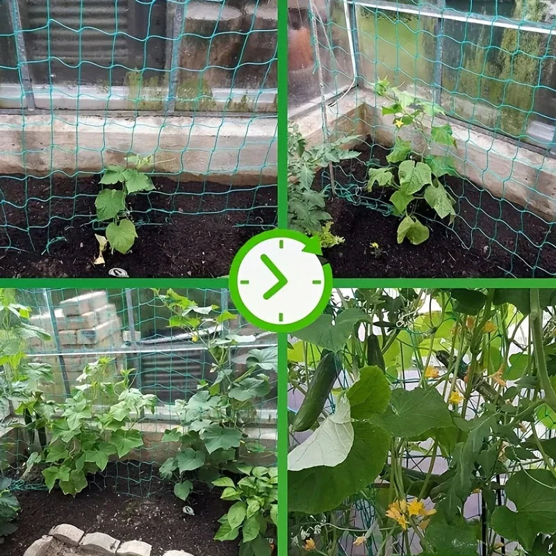Tela Treliça para Plantas e Hortaliças – Reforçada em Nylon para Cultivo Vertical