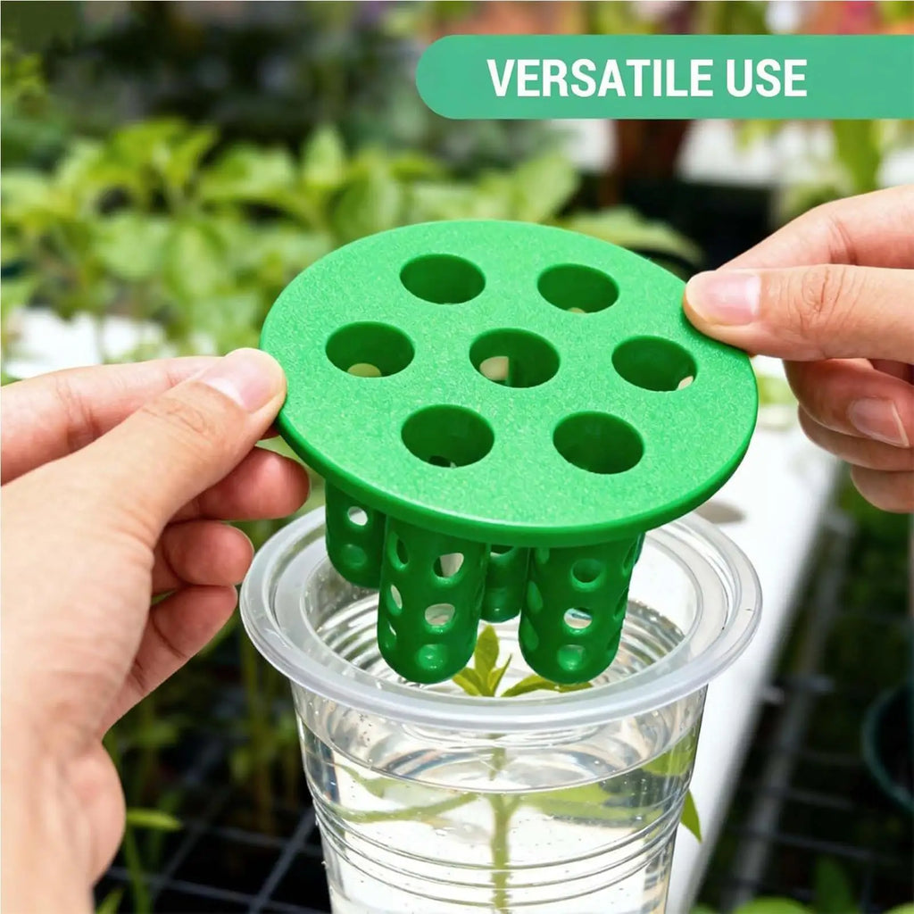 Vaso Hidropônico para Cebolinha Reutilizável