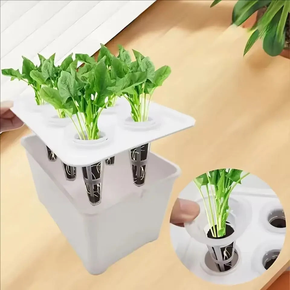 Kit Hidropônico para Cultivo com 6 Copos