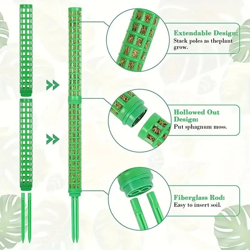 Kit 2 Tutores de Musgo para Plantas