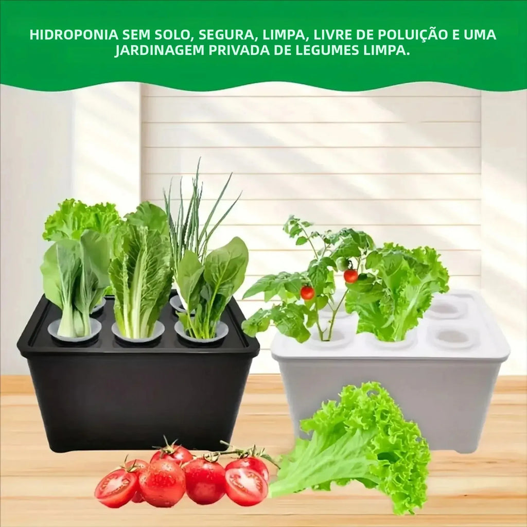 Kit Hidropônico para Cultivo com 6 Copos
