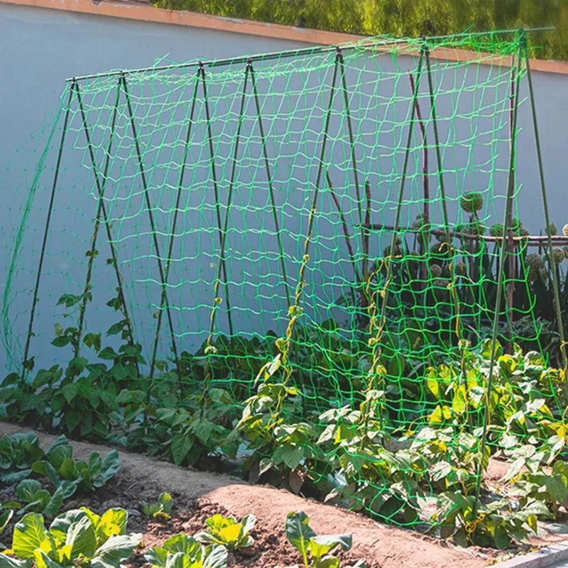 Tela Treliça para Plantas e Hortaliças – Reforçada em Nylon para Cultivo Vertical
