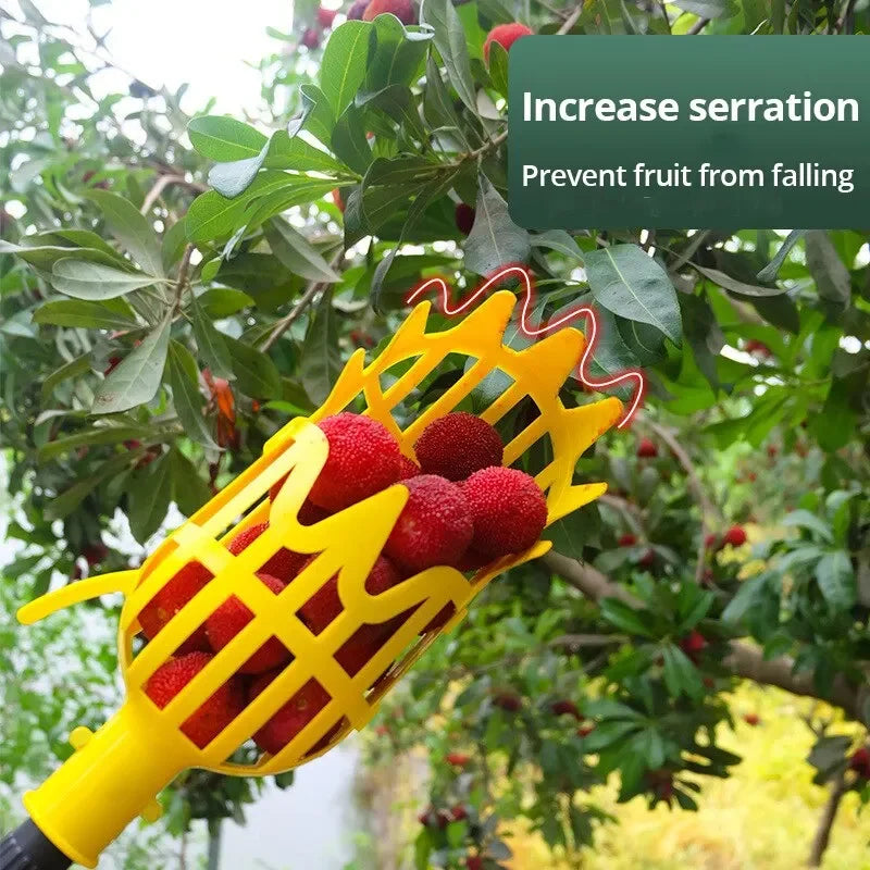 Coletor de Frutas com Cesto Profundo para Colheita Segura em Pomares e Jardins