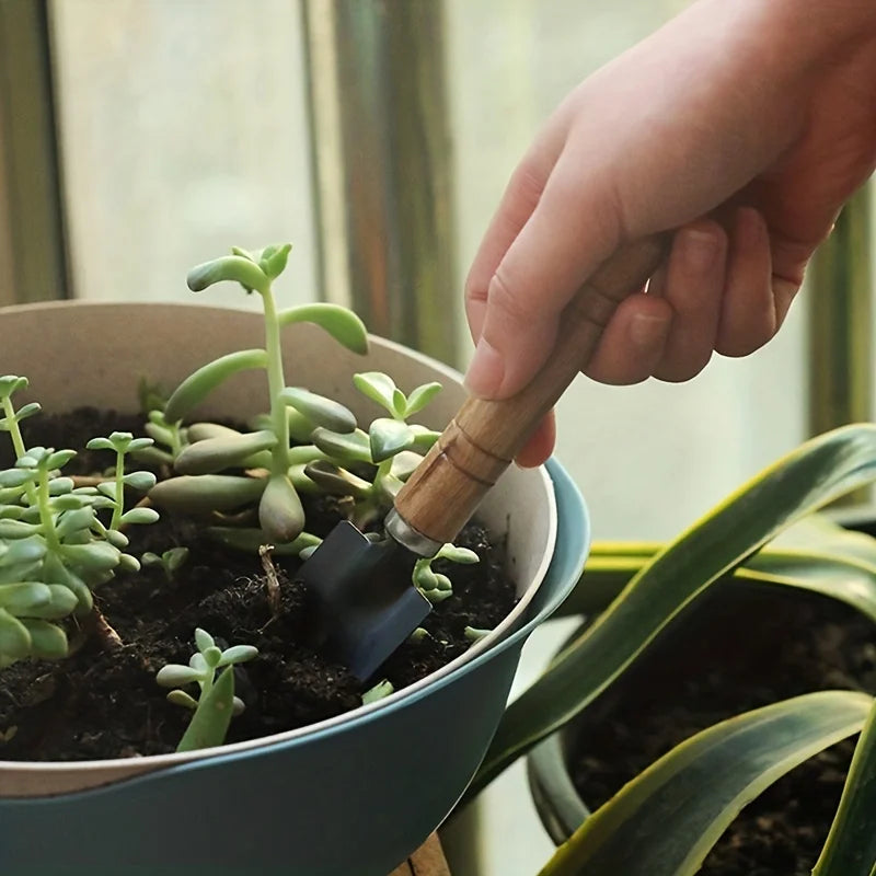 Mini Kit de Jardinagem 3 Peças para Vasos e Suculentas
