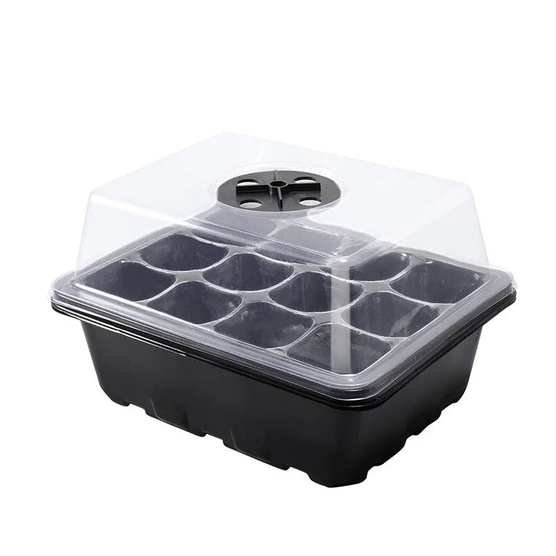 Kit Promocional: Bandeja de 12 Células + Brinde 3 Pacotes de Sementes