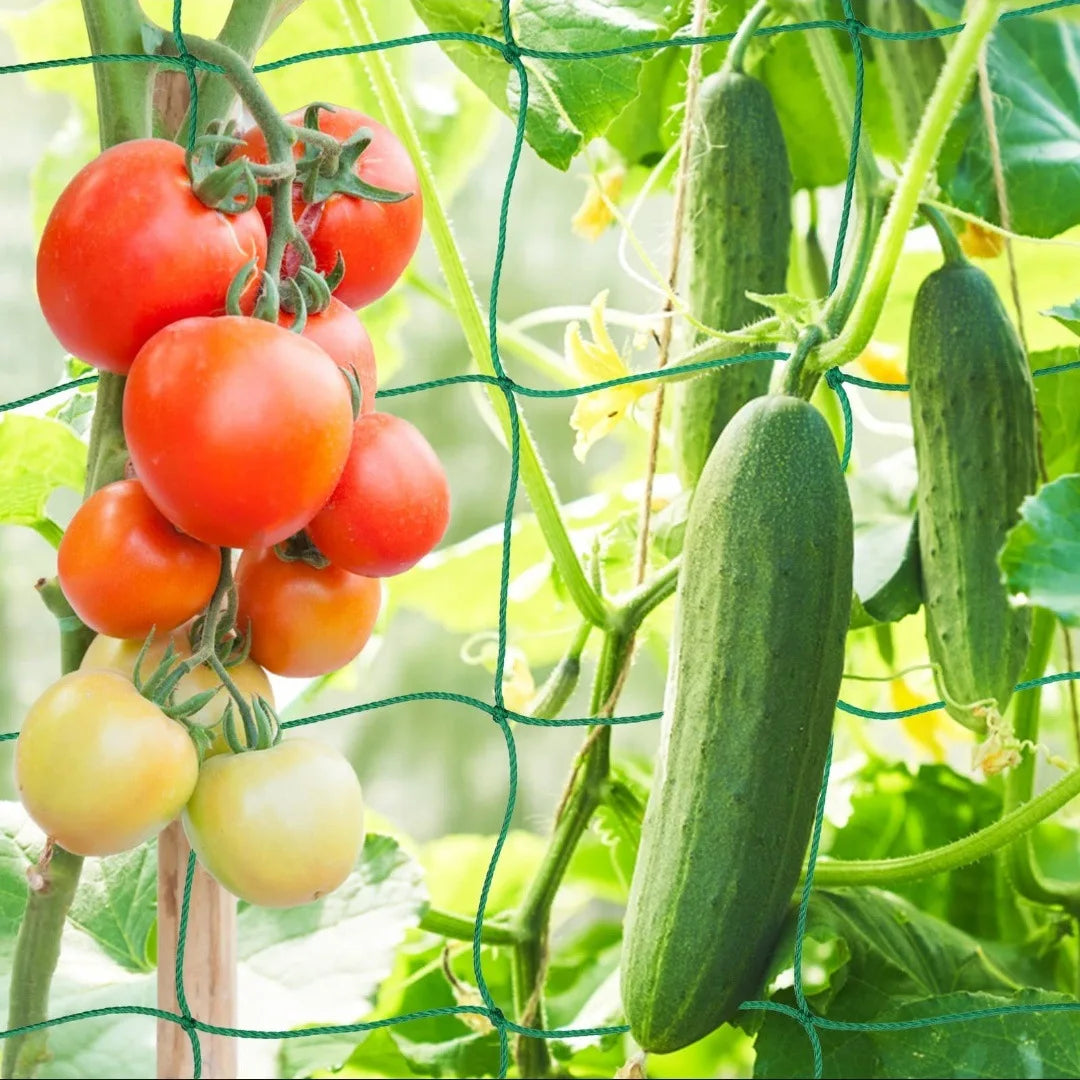 Tela Treliça para Plantas e Hortaliças – Reforçada em Nylon para Cultivo Vertical