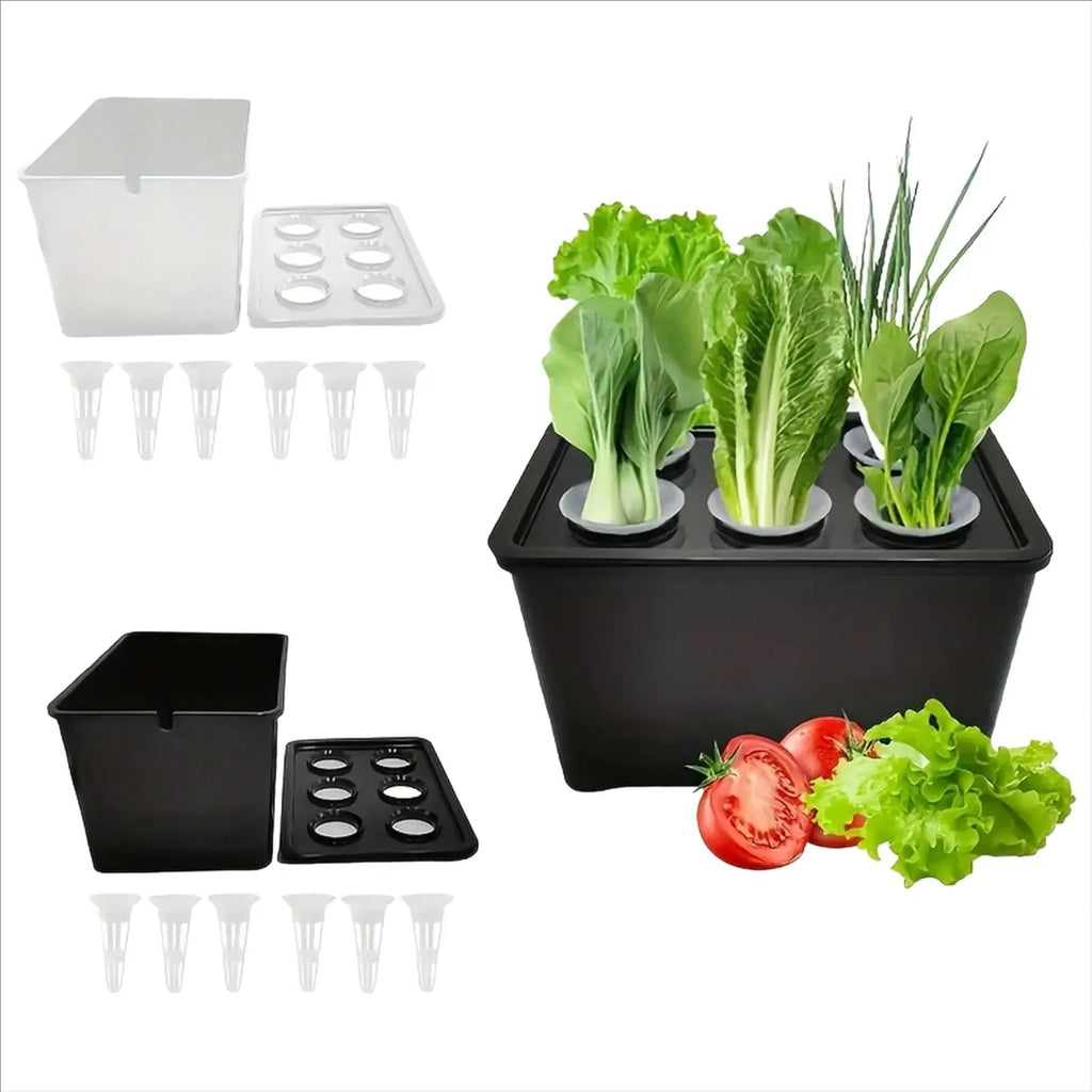 Kit Hidropônico para Cultivo com 6 Copos