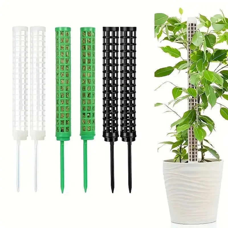 Kit 2 Tutores de Musgo para Plantas