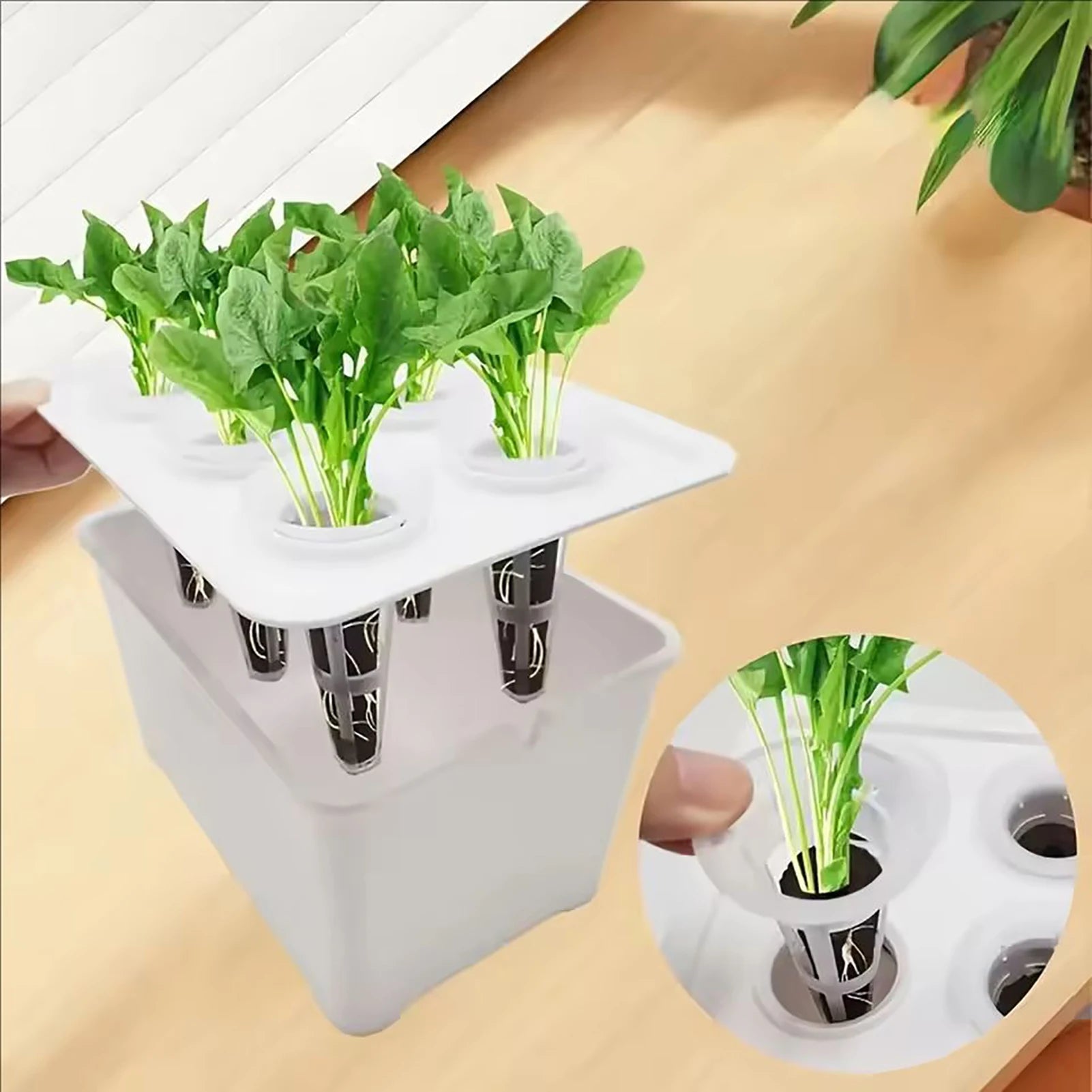 Kit Hidropônico para Cultivo com 6 Copos