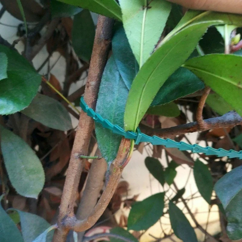 Kit 50 Amarras Ajustáveis para Plantas