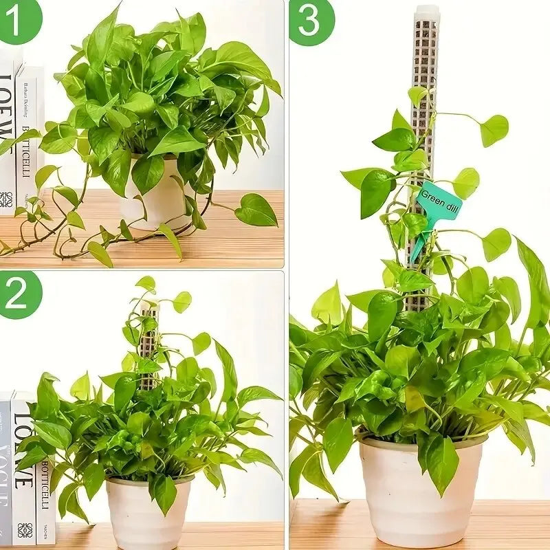 Kit 2 Tutores de Musgo para Plantas