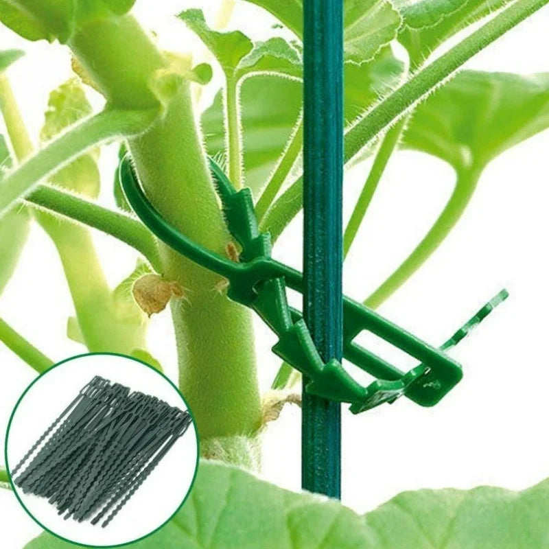 Kit 50 Amarras Ajustáveis para Plantas