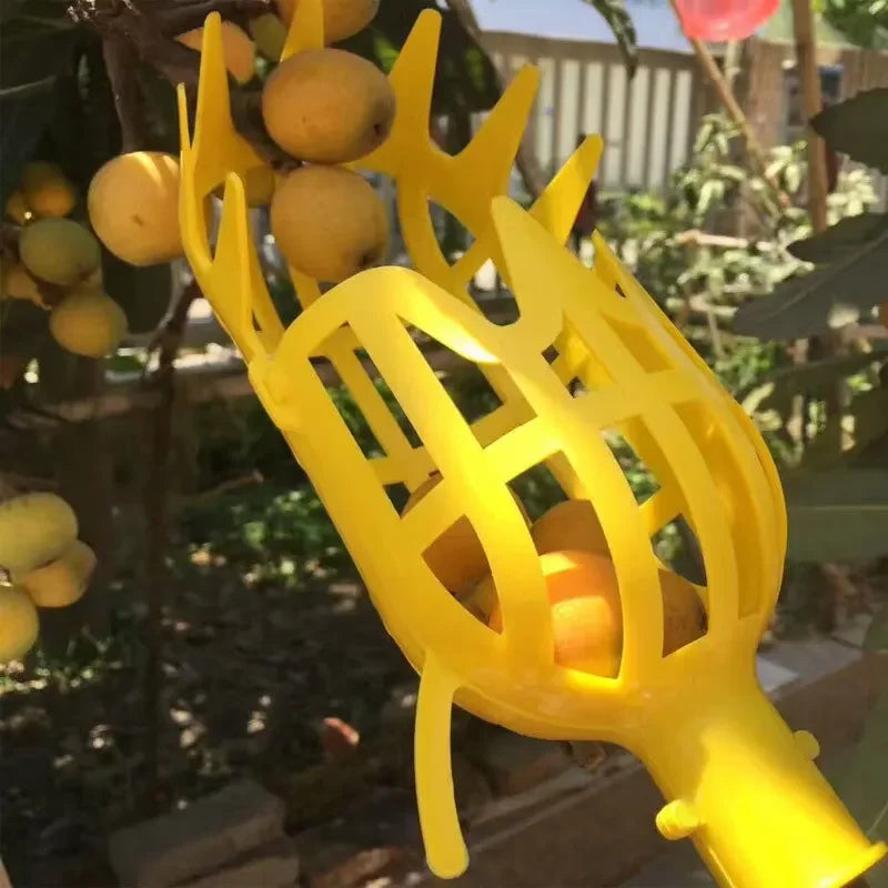 Coletor de Frutas com Cesto Profundo para Colheita Segura em Pomares e Jardins