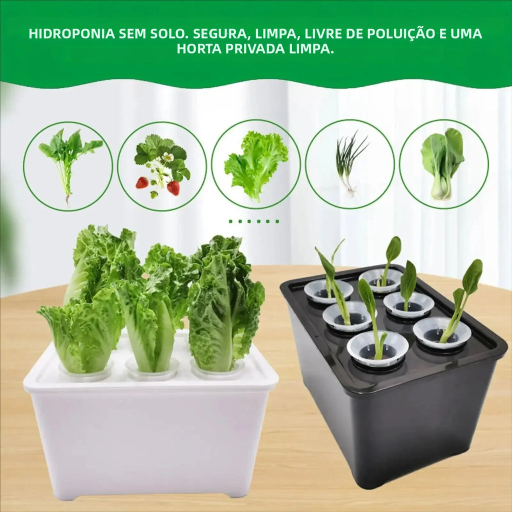 Kit Hidropônico para Cultivo com 6 Copos