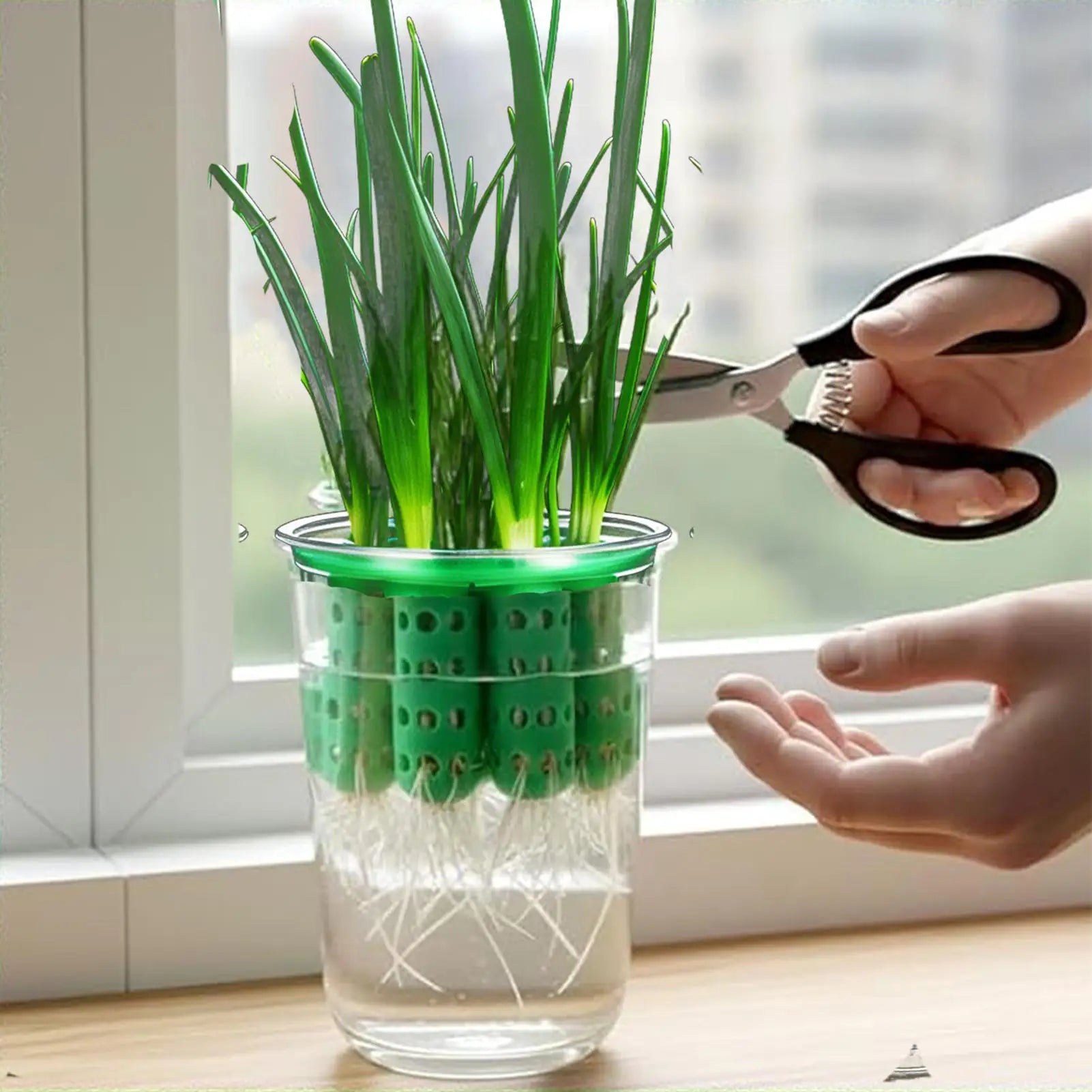 Vaso Hidropônico para Cebolinha Reutilizável