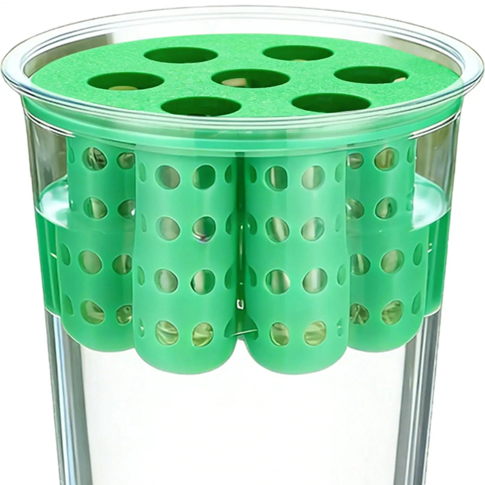 Vaso Hidropônico para Cebolinha Reutilizável