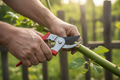 Professional Pruning Shears