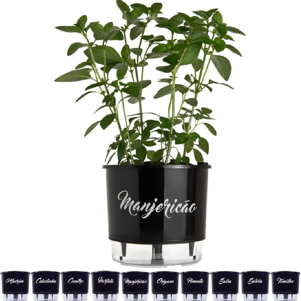 Vaso Autoirrigável para Temperos 16x14cm