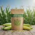 Sementes de Milho Verde (500g)